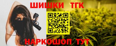 ешки Кингисепп