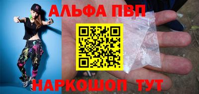 ешки Кингисепп