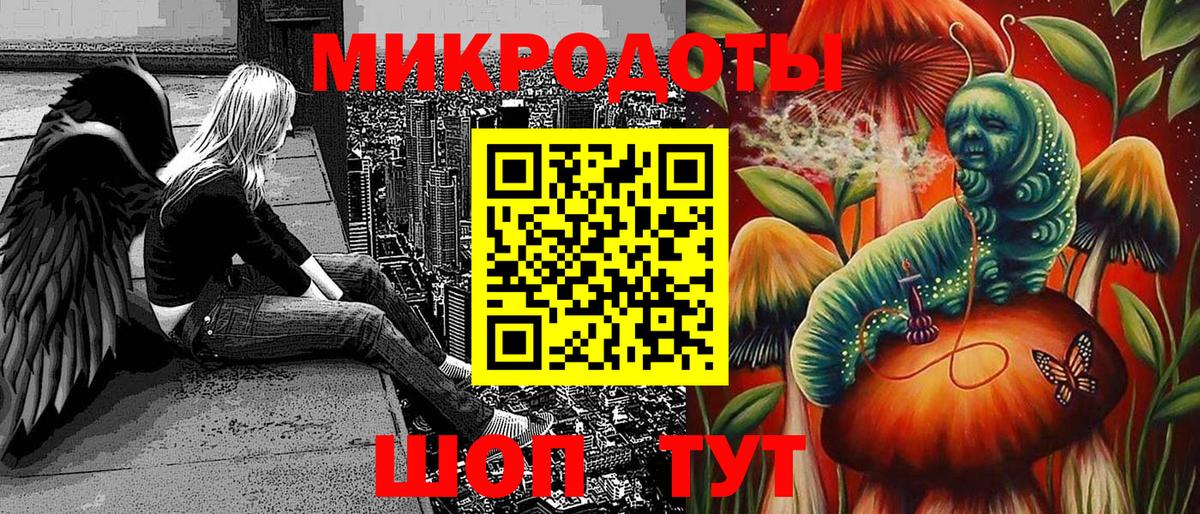 ГЕРОИН Дубна