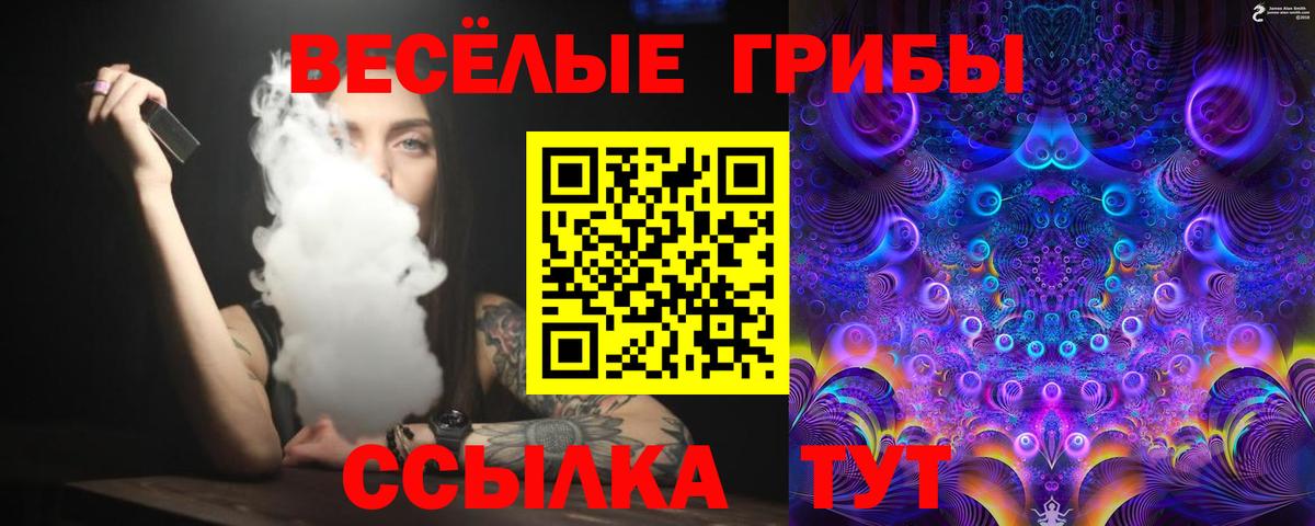 Дубна  купить наркоту  Вход с VPN  Псилоцибиновые грибы мухоморы  Псилоцибиновые грибы ЛСД 